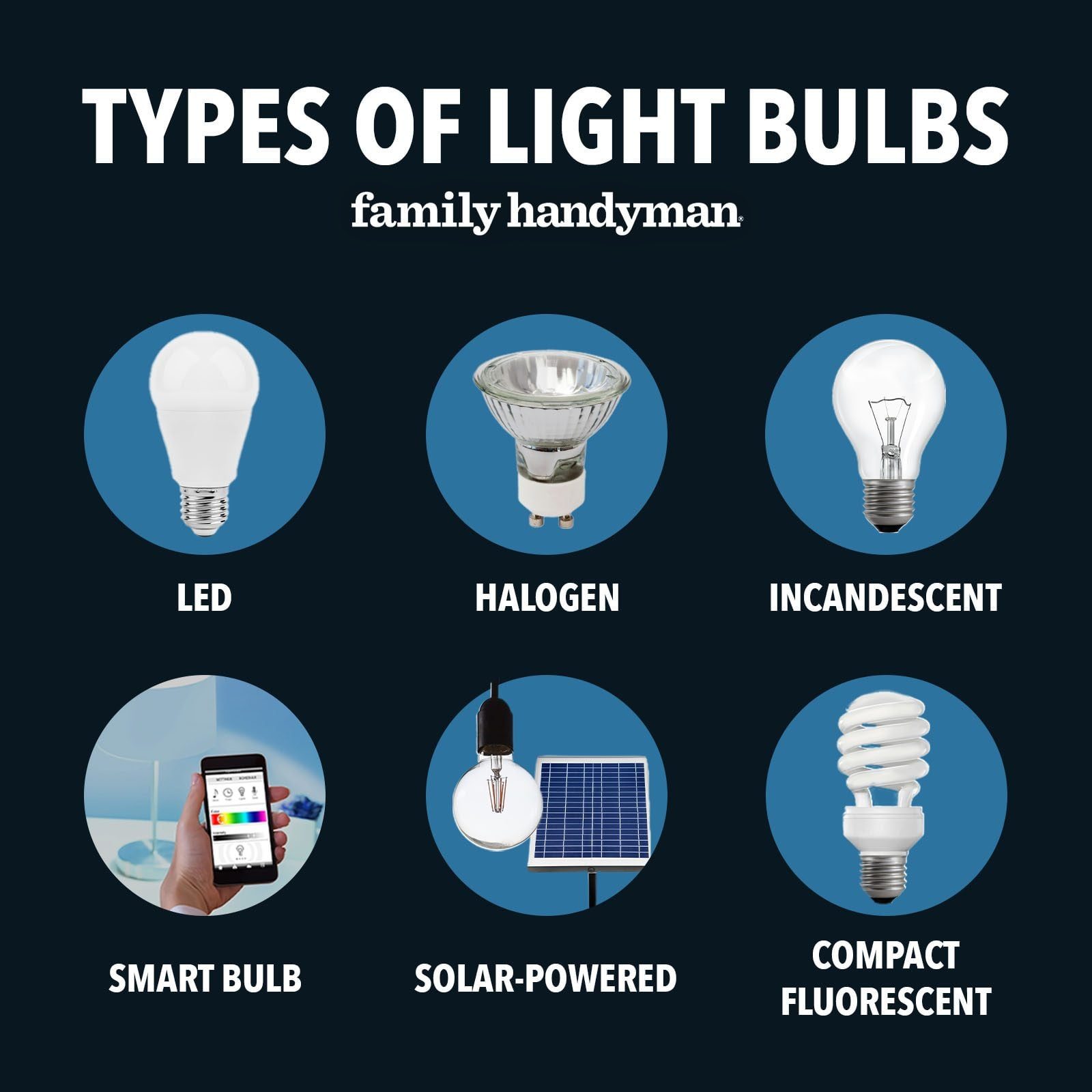 Light Bulb Buyer's Guide