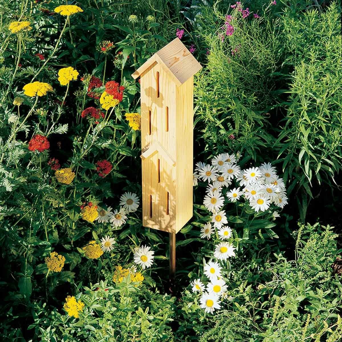7 Ways to Attract Butterflies to Your Backyard