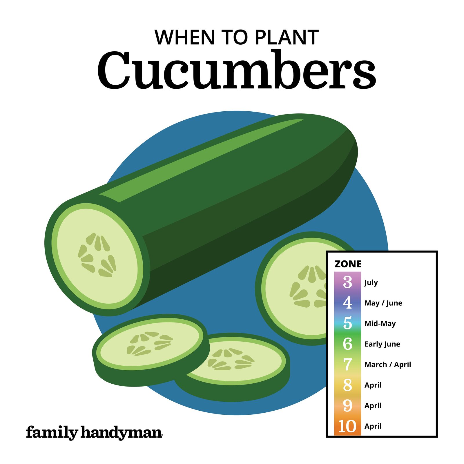 When to Plant Vegetables According to a Planting Calendar