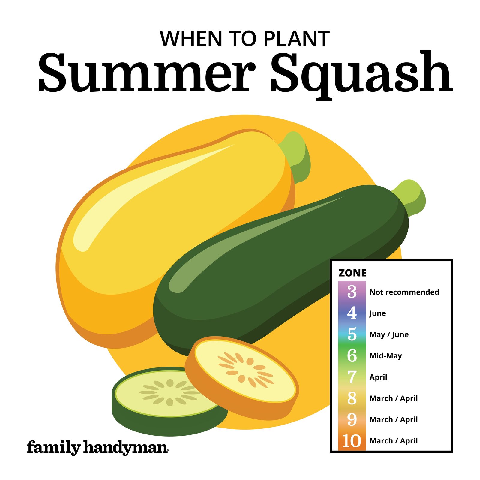 When to Plant Vegetables According to a Planting Calendar