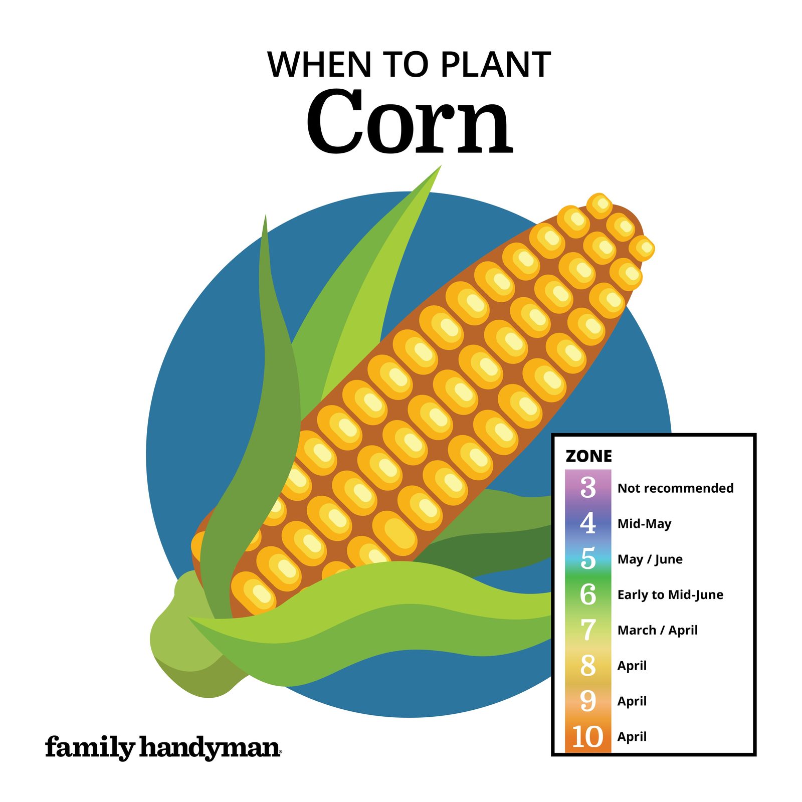 When to Plant Vegetables According to a Planting Calendar