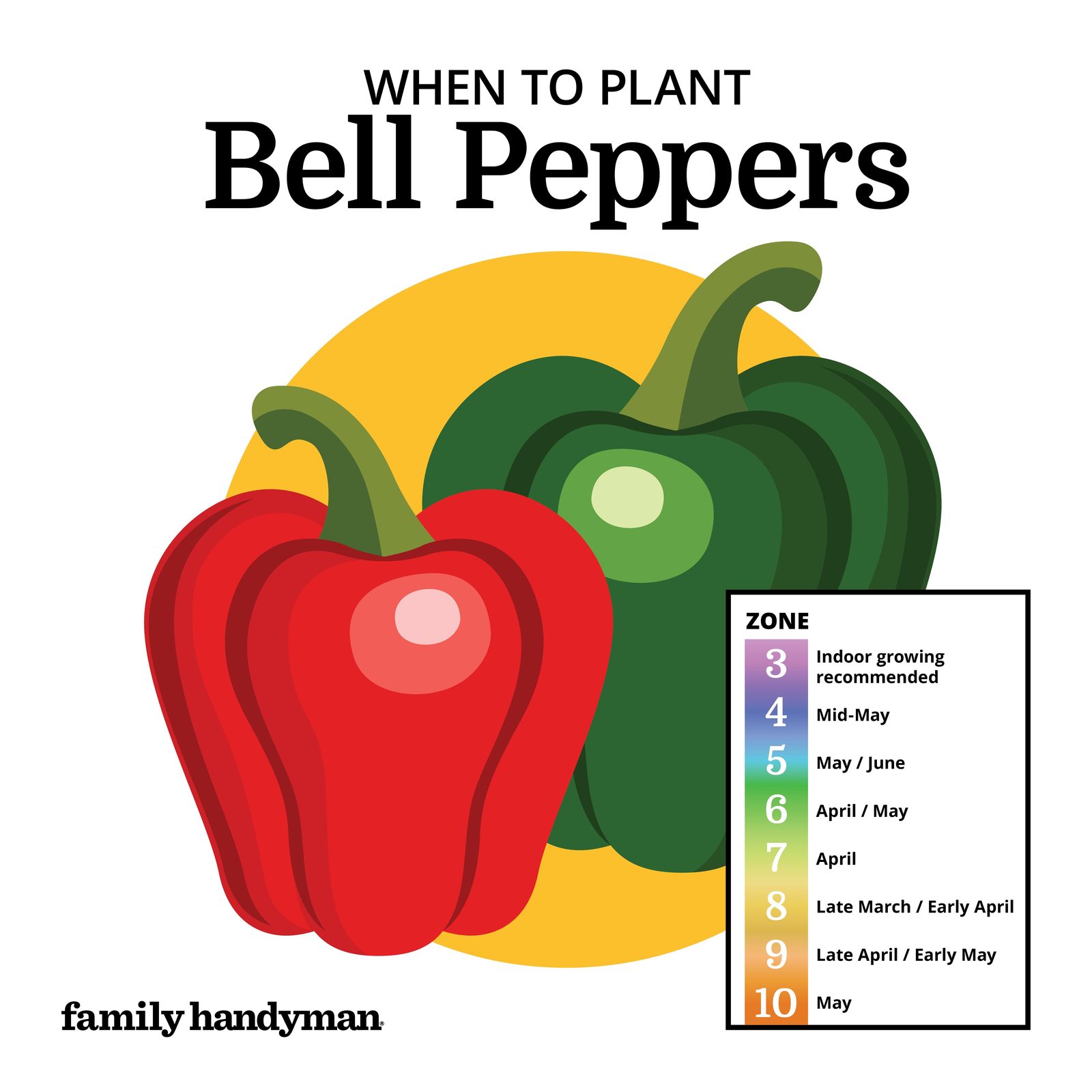 When to Plant Vegetables According to a Planting Calendar