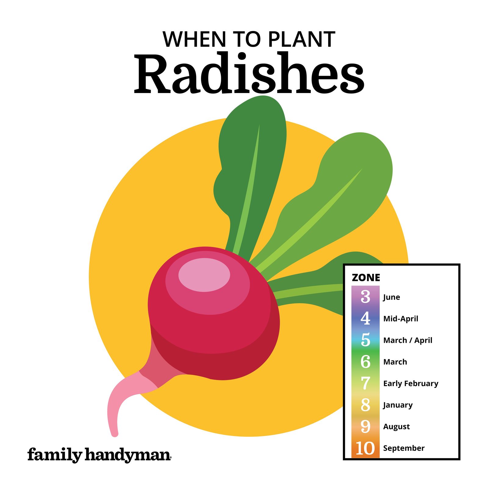 When to Plant Vegetables According to a Planting Calendar