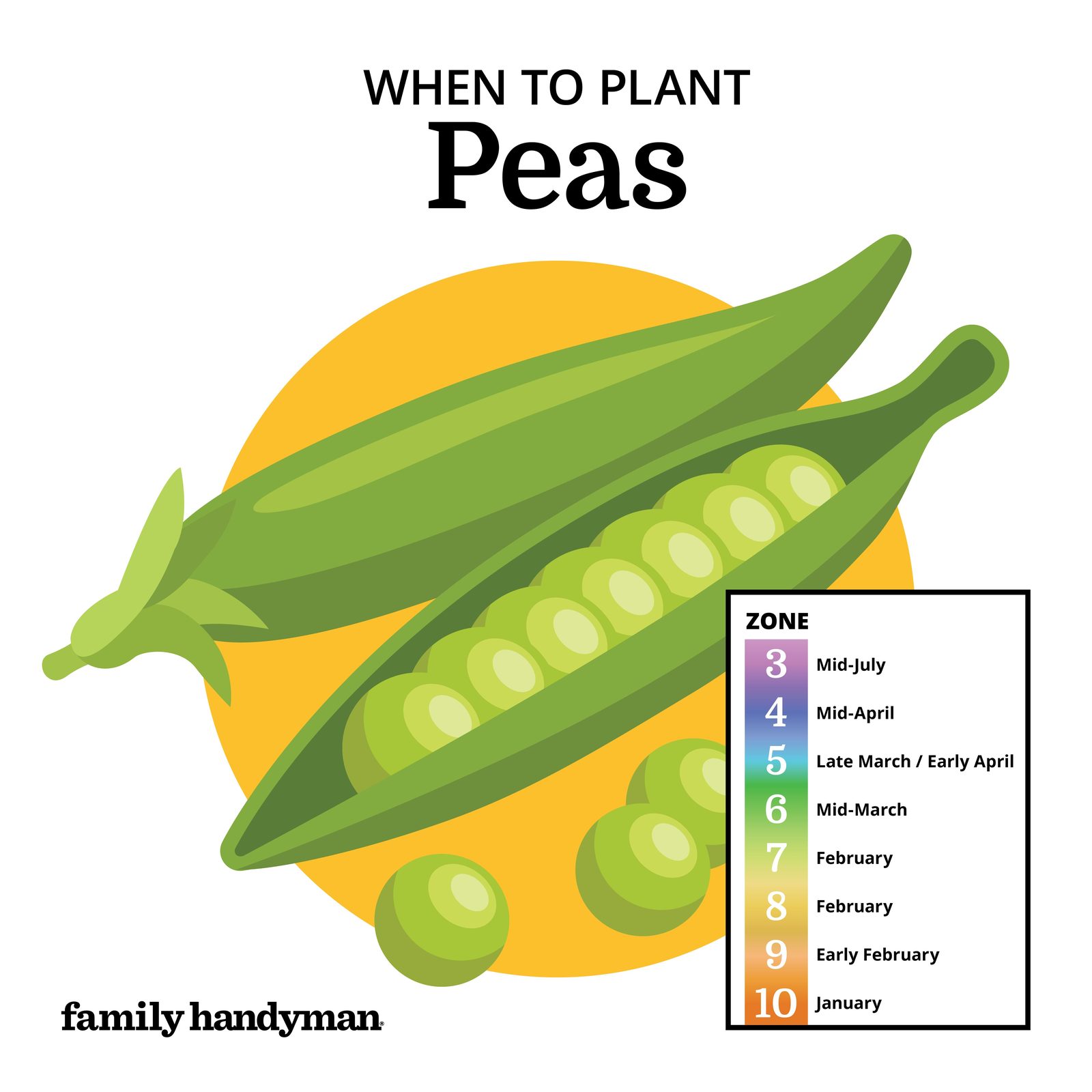 When to Plant Vegetables According to a Planting Calendar