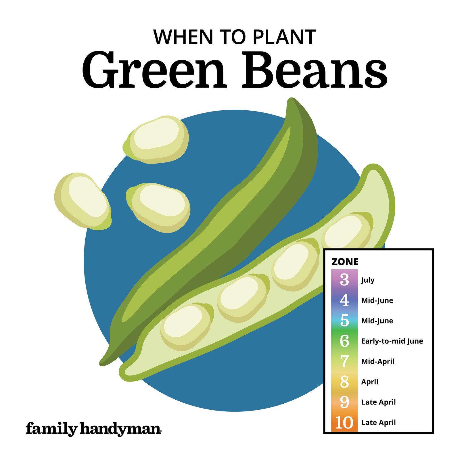 When to Plant Vegetables According to a Planting Calendar