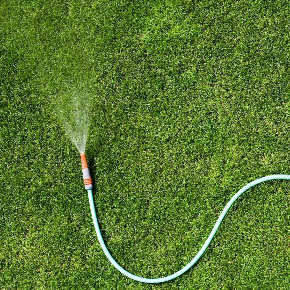 A garden hose sprays water across a vibrant green lawn, creating a gentle mist in the sunlight, enhancing the texture and color of the grass
