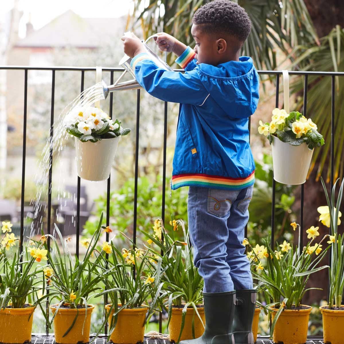 A child waters hanging flower pots with a watering can on a balcony, surrounded by blooming plants and greenery in the background.