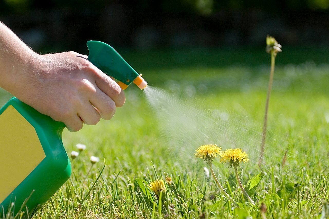 The Weed Killer Cheat Sheet You Need Before Going to the Hardware Store