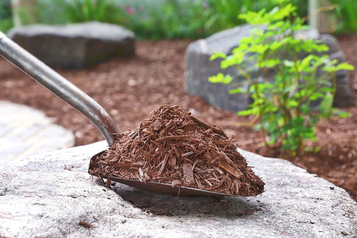 Weed-Prevention Steps You Can Take In Early Spring