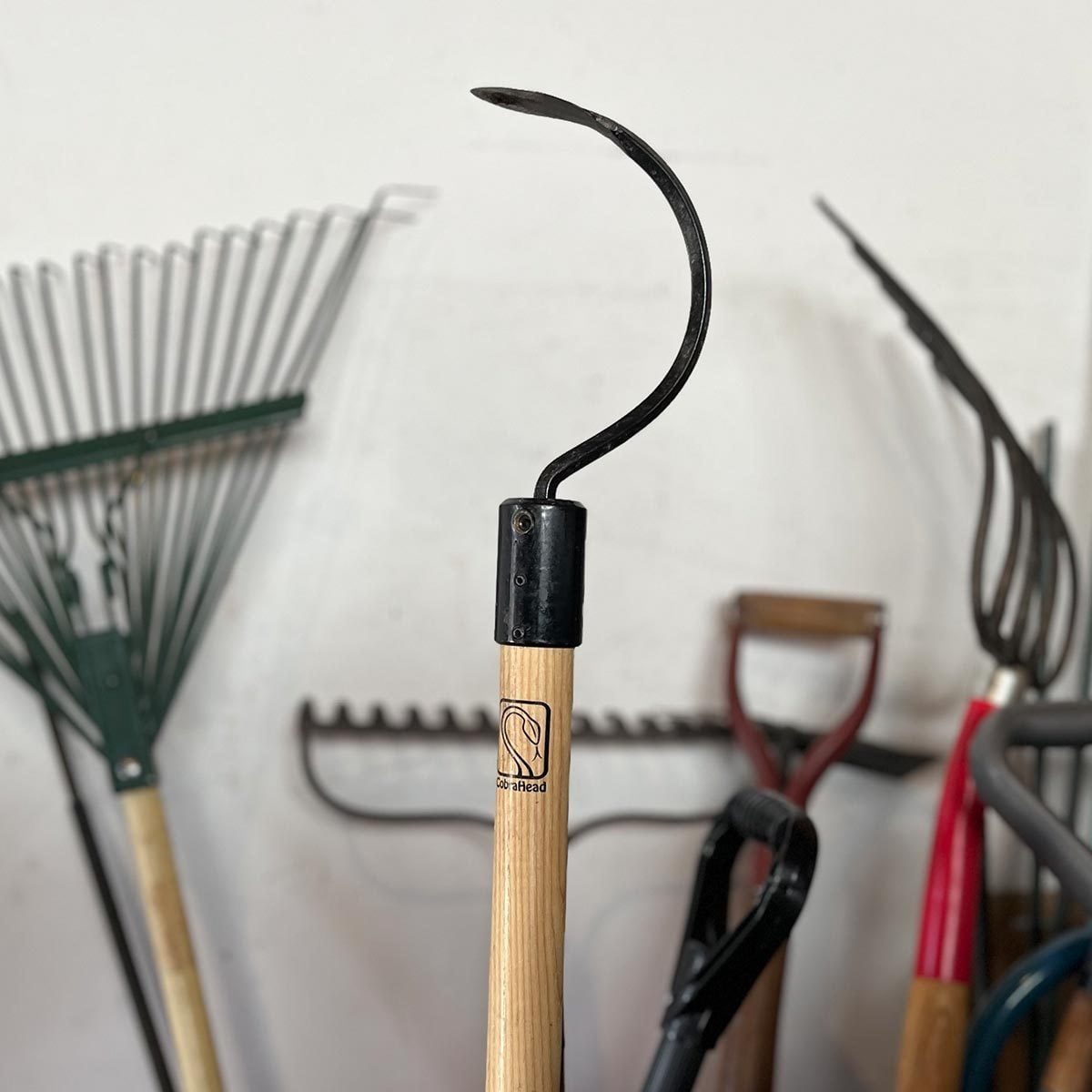 I Tried the CobraHead Weeder and It Makes Gardening So Much Easier