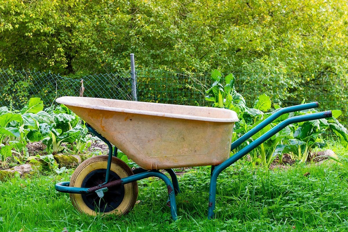 Yellow wheelbarrow in front of a small organic garden through an outdoor terrace