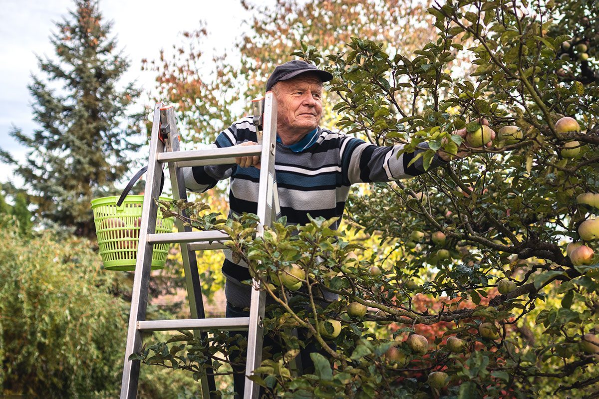 When Are You Too Old to Use a Ladder? Experts Weigh In