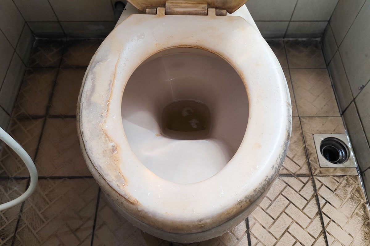 When Should I Replace My Toilet Seat? Major Signs It's Time