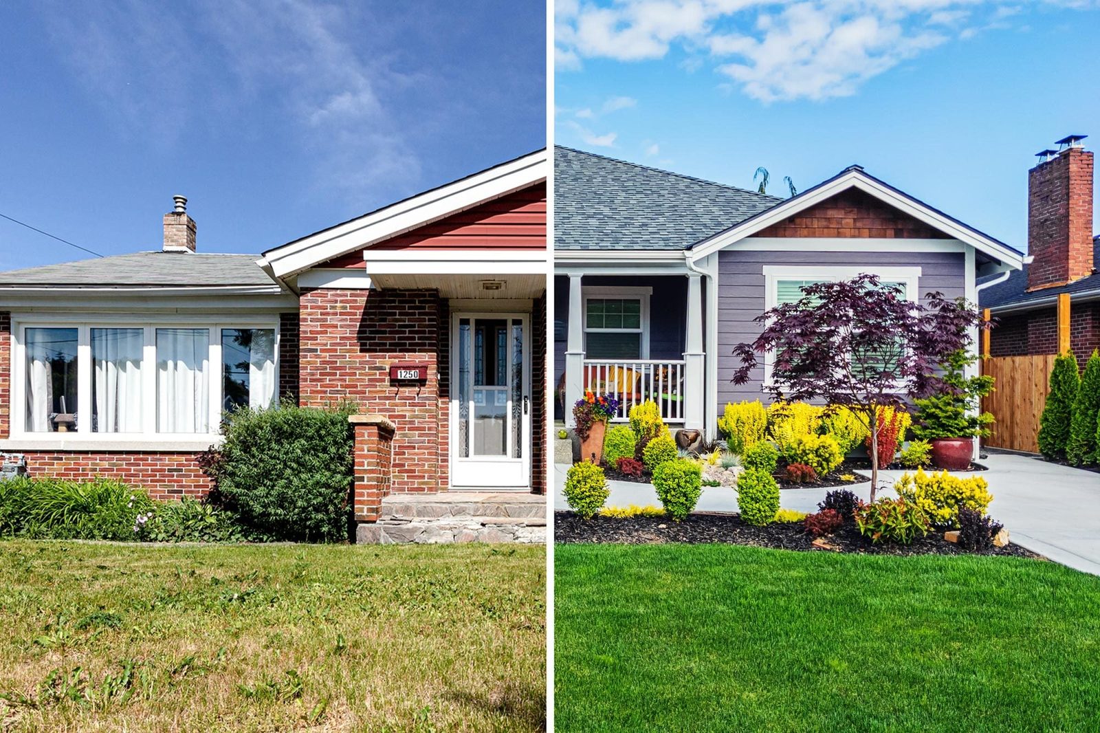 Why Is My Neighbor's Lawn Greener Than Mine?