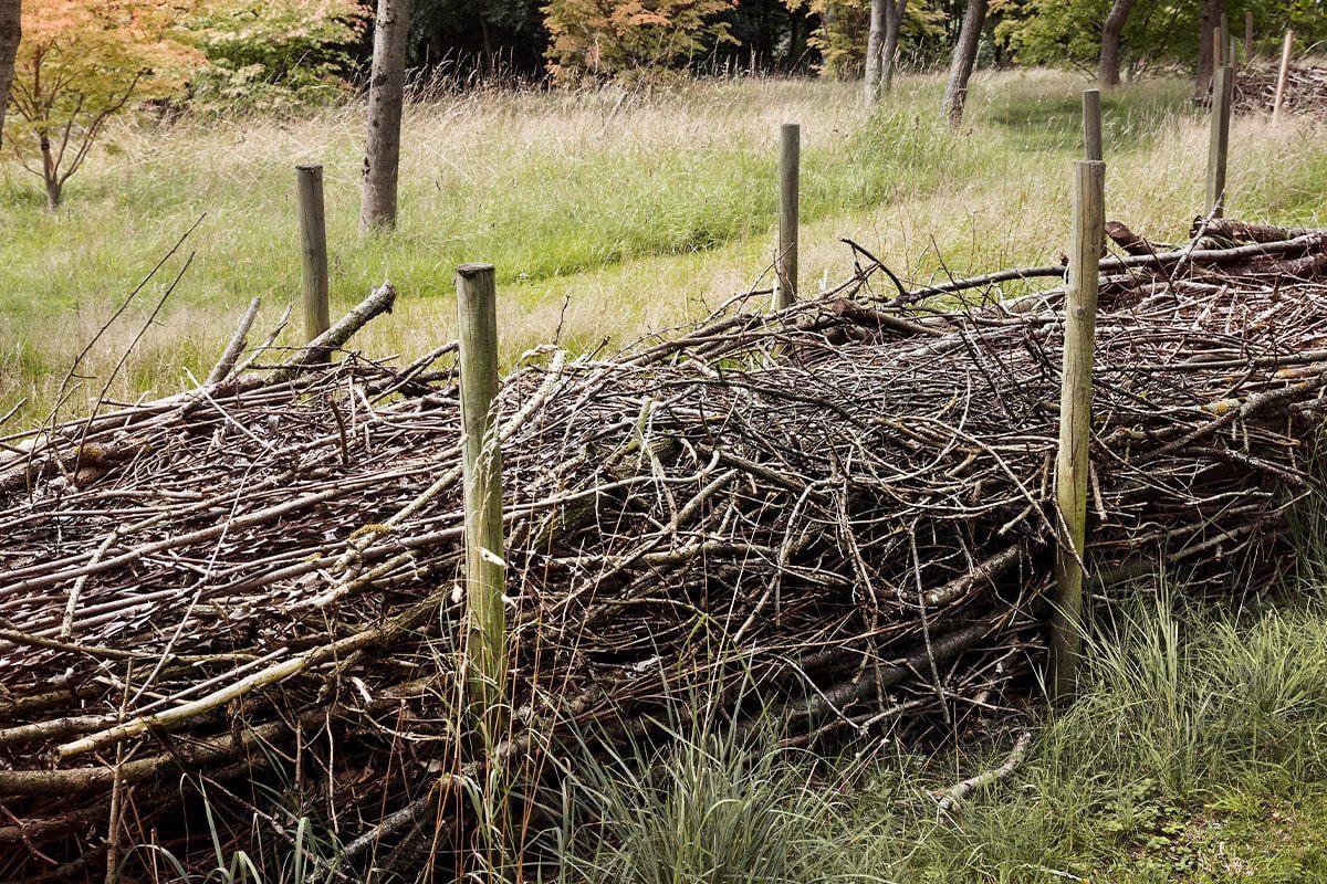 From Fallen Branches to Functional Fencing: Make a DIY Dead Hedge