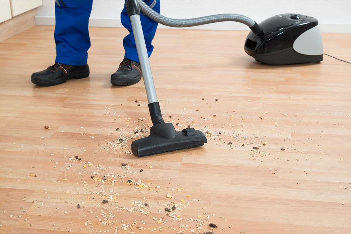 Here's Why You Should Never Sweep Mouse Droppings