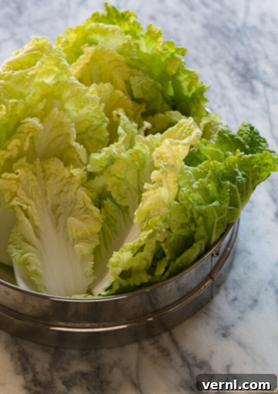 ασιατική σαλάτα κοτόπουλο με λαχανικά | AFoodCentricLife.com