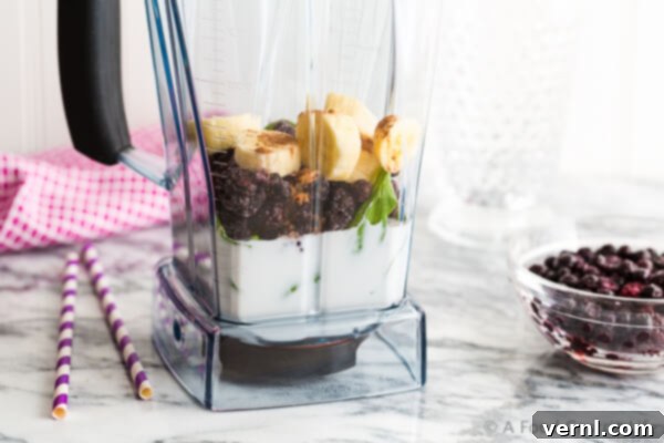 Συστατικά για ένα smoothie σοκολάτα-μύρτιλο σε δοχείο μπλέντερ, έτοιμα για ανάμειξη.