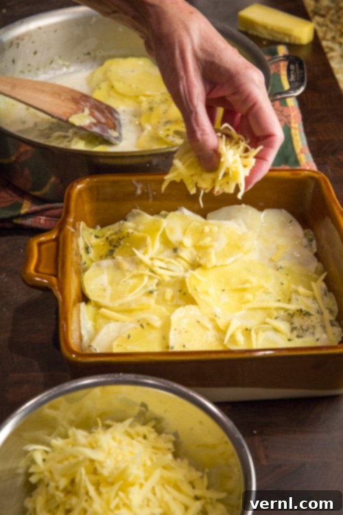 Διαδικασία Συναρμολόγησης Πατατών Gratin Συναρμολόγηση των πατατών scalloped.