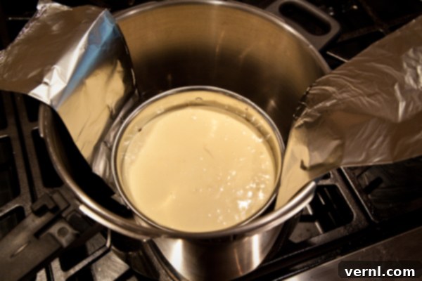 Cheesecake-1540 Cheesecake στην χύτρα ταχύτητας | afoodcentriclife.com