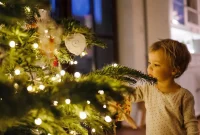 Extend Your Christmas Tree’s Holiday Life