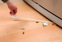 Beyond the Fridge Door Deep Cleaning Secrets