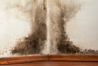 Your Expert Guide to DIY Home Inspection