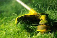 Leaving Grass Clippings Enriches Your Lawn