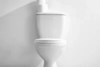 The Curious Case of the Basement Toilet in Old Houses