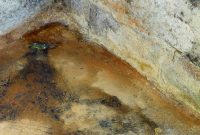 Eliminating Basement Odors