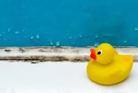 Conquer That Bathroom Mildew Smell