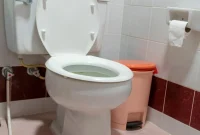 The Hidden Reason You Must Always Close the Toilet Lid Before Flushing