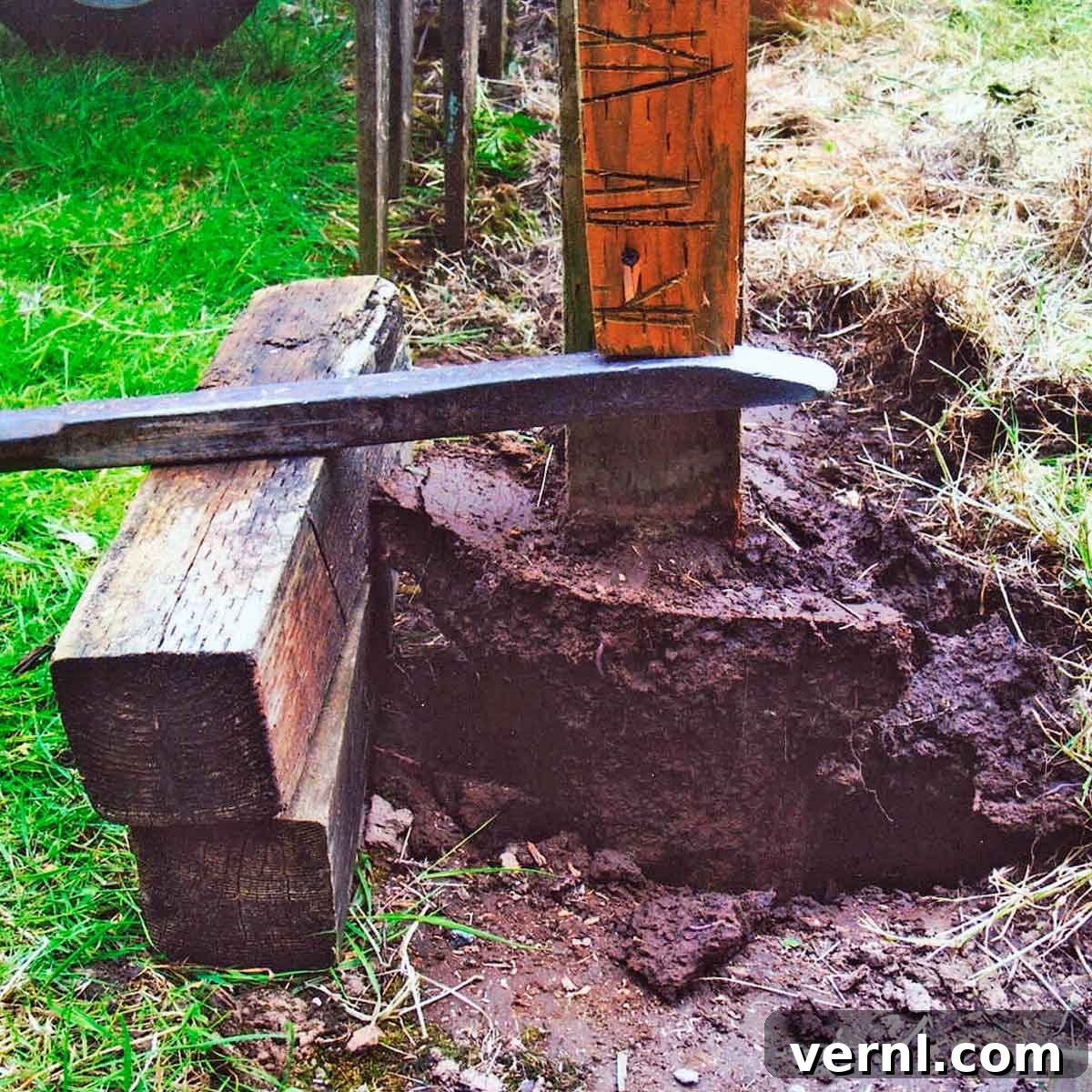 featured 193446