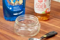 Your Top Homemade Gnat Trap