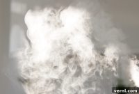Boost Home Humidity Naturally No Humidifier Needed