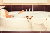 Loyal to the Loo Why Your Dog is Your Bathroom Buddy