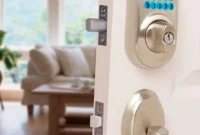 Keyless Entry: Advantages and Disadvantages