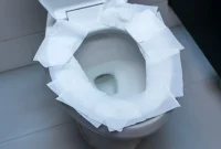 Busting the Biggest Toilet Myth