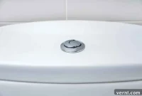 Double the Efficiency, Half the Waste: Why Go Dual-Flush?