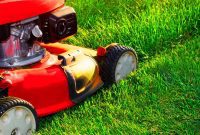 The Smartest Way to Mow Your Grass