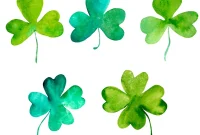 Shamrocks and Four Leaf Clovers Unpacking Their True Distinctions