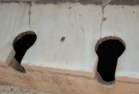 The Unexpected History of the Toilet Seat