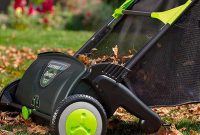 Lawn Sweepers Smart Investment Or Costly Mistake