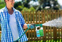 Spray Your Way to a Stunning Lawn