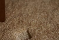 Erase Carpet Dents With This Genius Ice Cube Hack