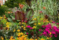 Top 5 Tools for Cultivating Your Digital Garden