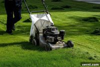 The Ultimate Guide to a Vibrant, Healthy Green Lawn
