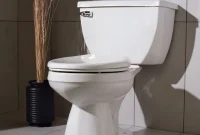 The Ultimate Toilet Buying Guide for Your Home