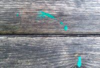 Reclaim Your Hardwood: Paint Removal Made Simple