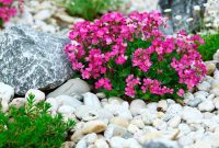 Designing Your Dream River Rock Flower Bed